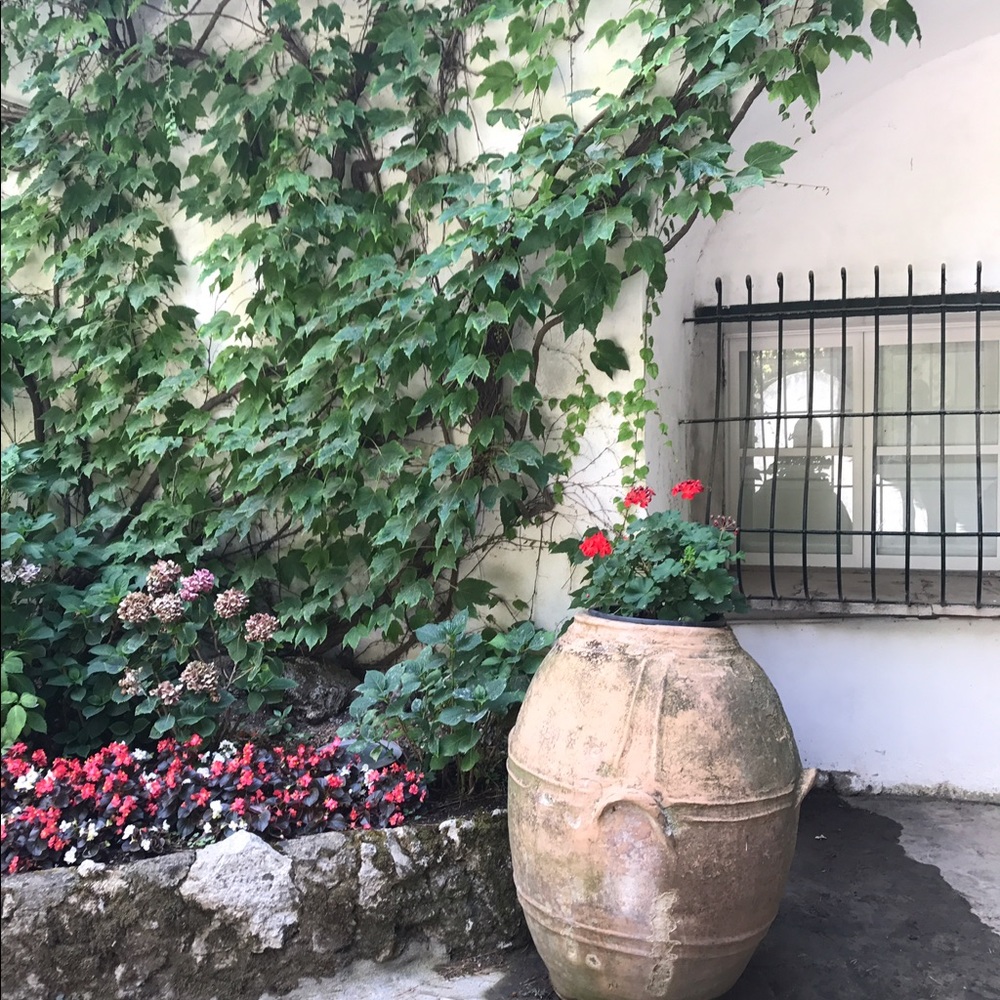 Meet your Posher, Kathy