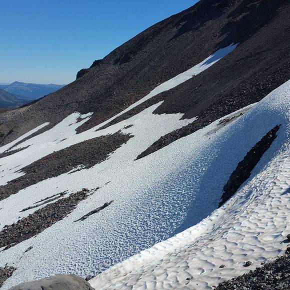 Meet your Posher, Candace - Picture 1 of 1