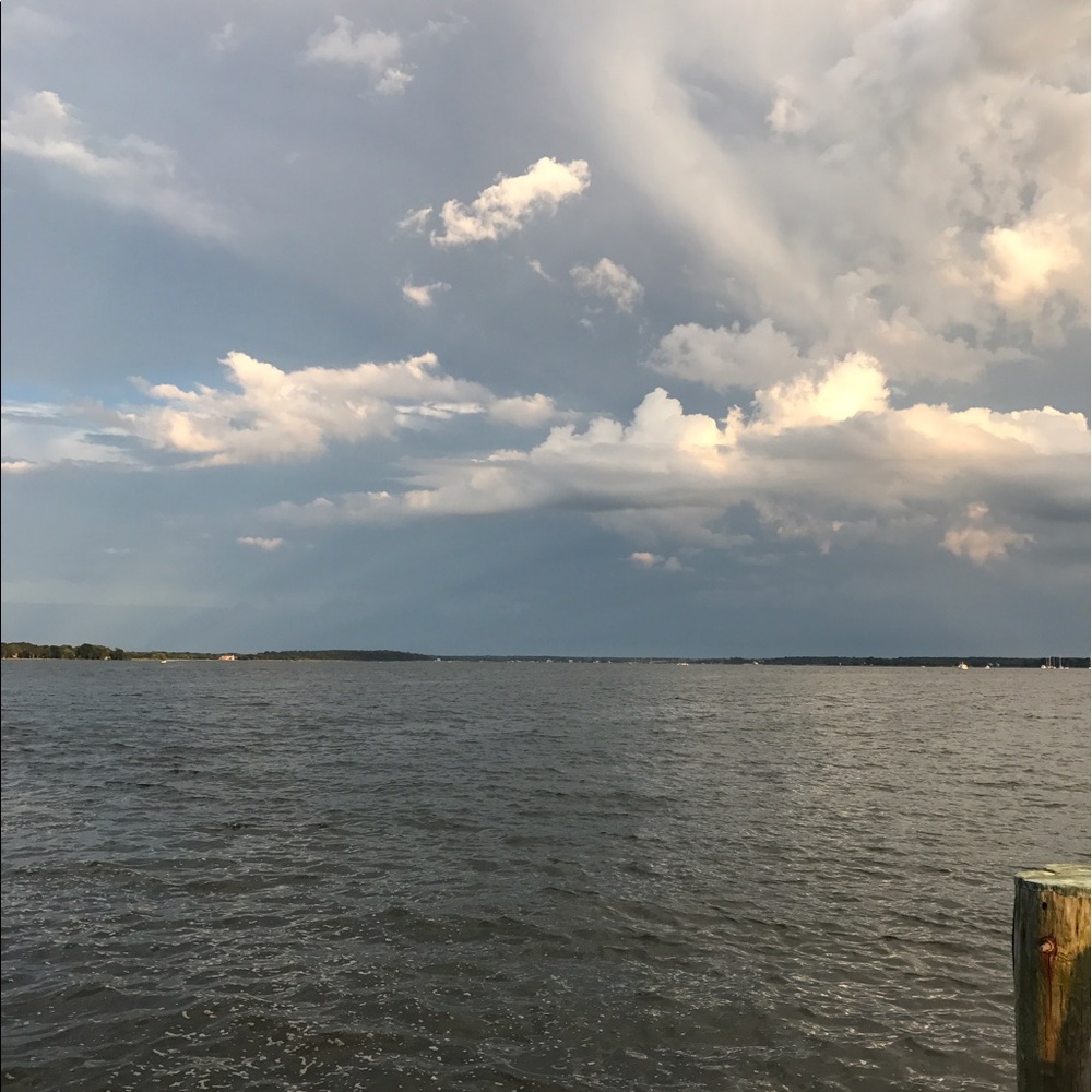 Meet your Posher, Lee ann