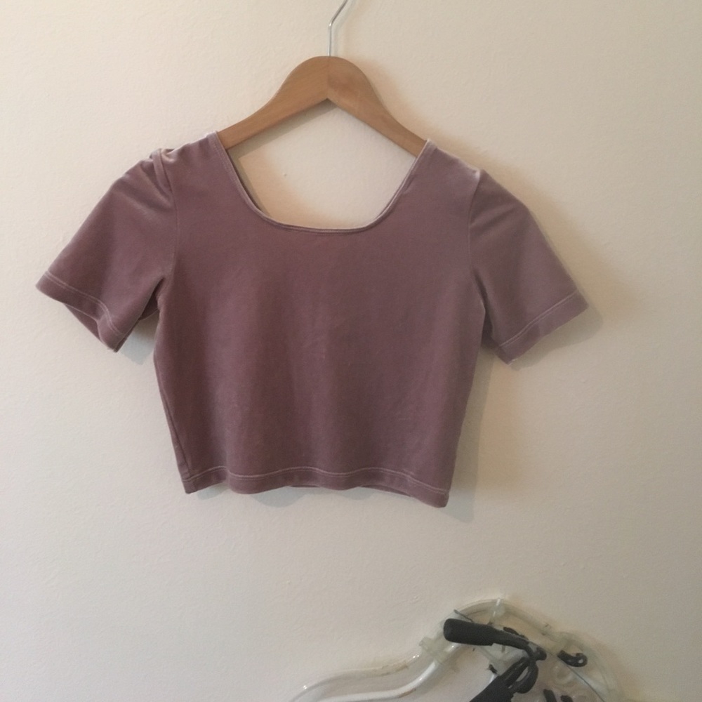 American apparel velvet crop top