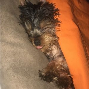 Meet your Posher, Hailey