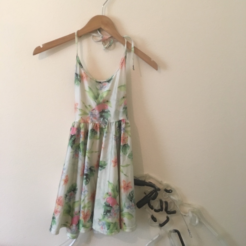 American apparel figure skater dress