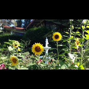 Meet your Posher, Cherise