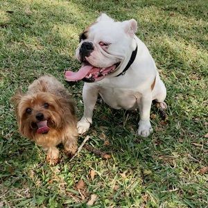 Meet your Posher, Monica