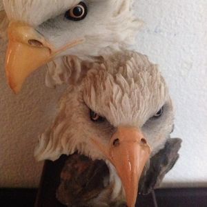 Meet your Posher, Roberta