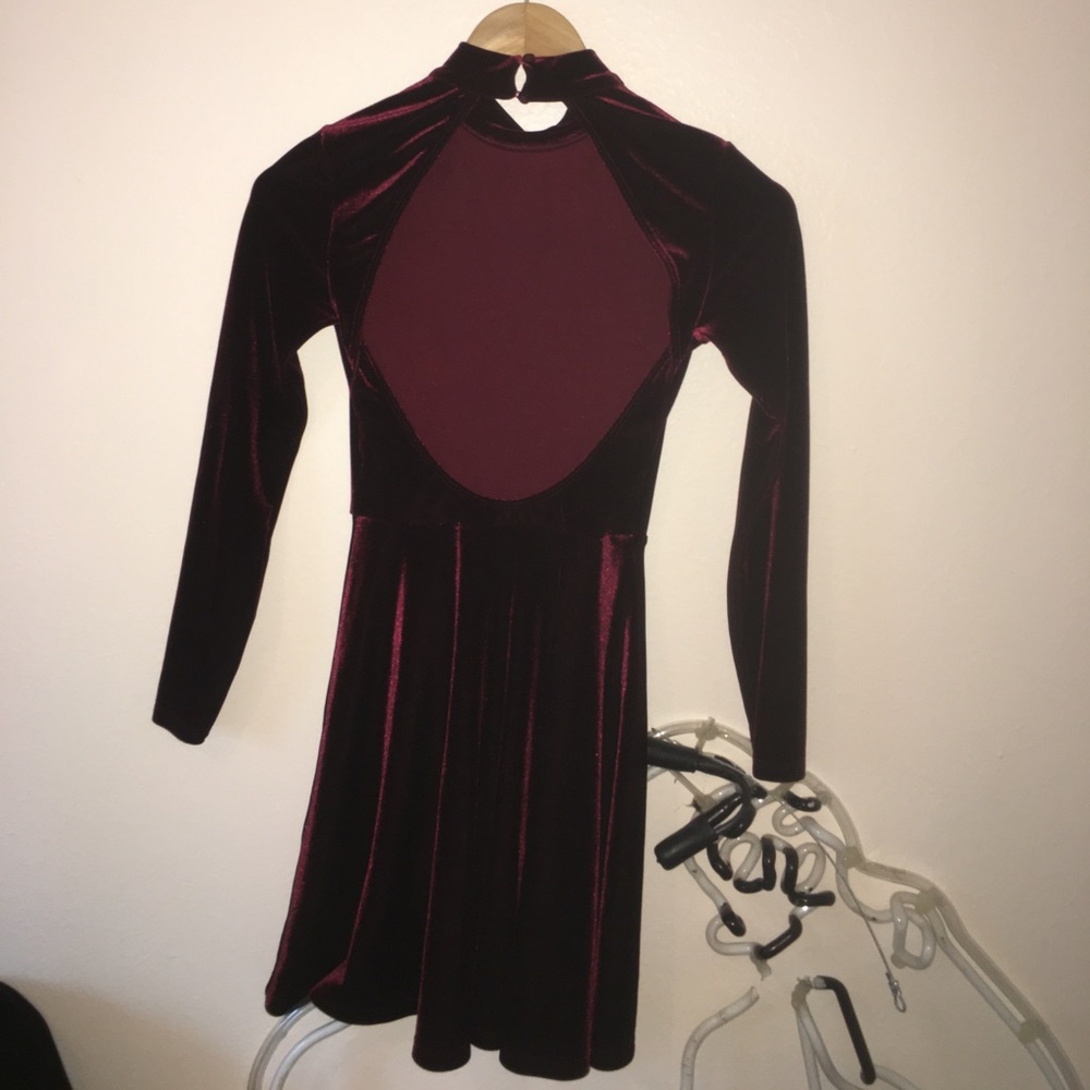 American apparel violette skater dress