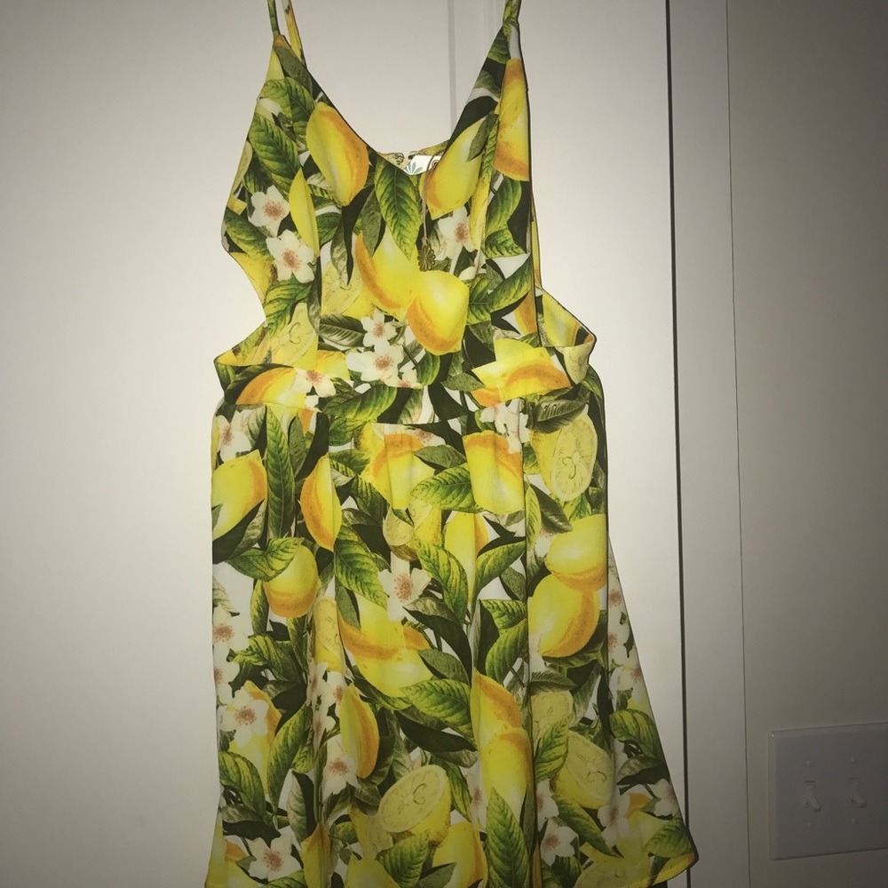 NWT S Piper Dress