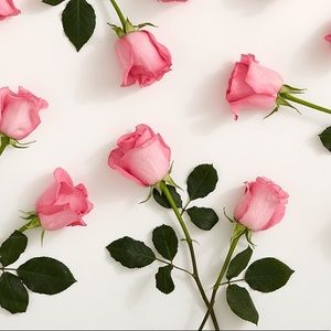 Meet your Posher, Diana