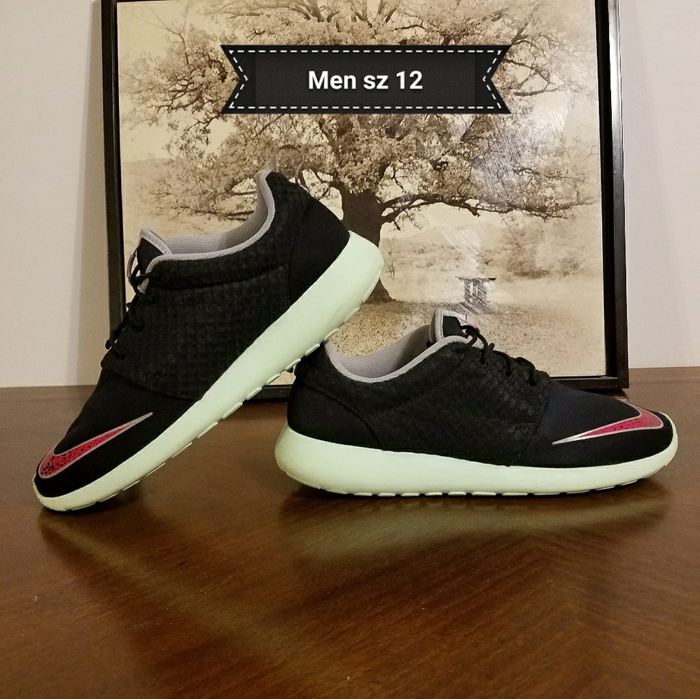 🚫sold🚫Roush Run