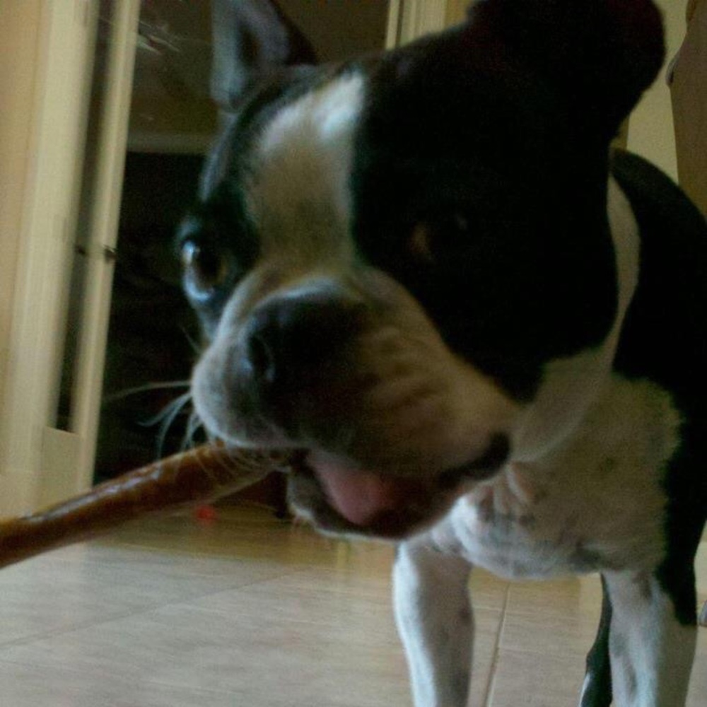 Meet your Posher, Paula