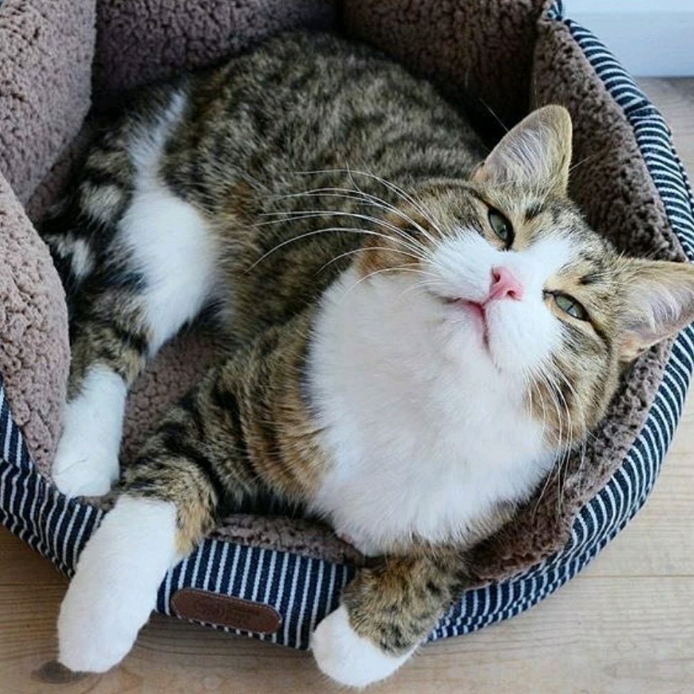 Meet your Posher, Yulia