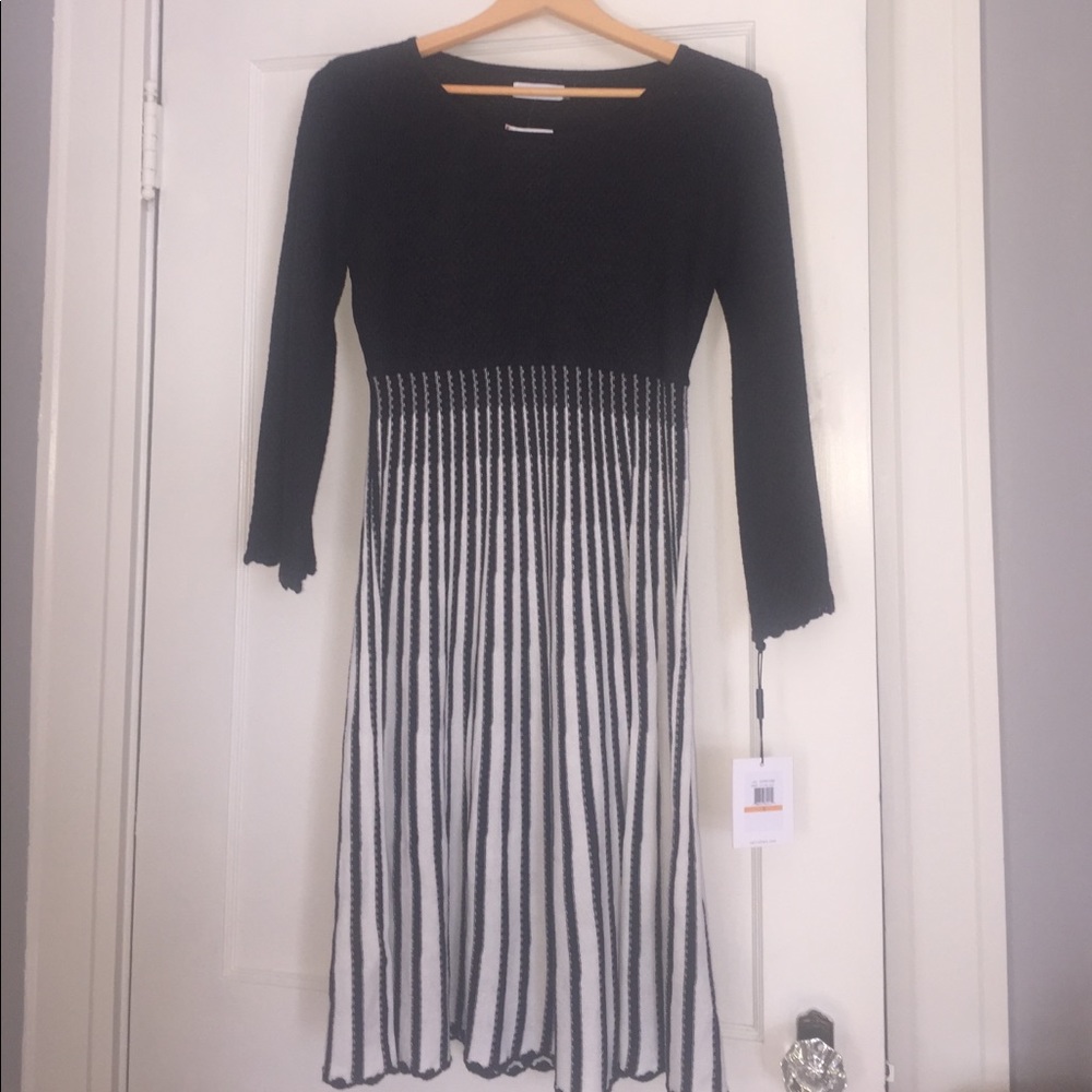 Calvin Klein black and white dress.