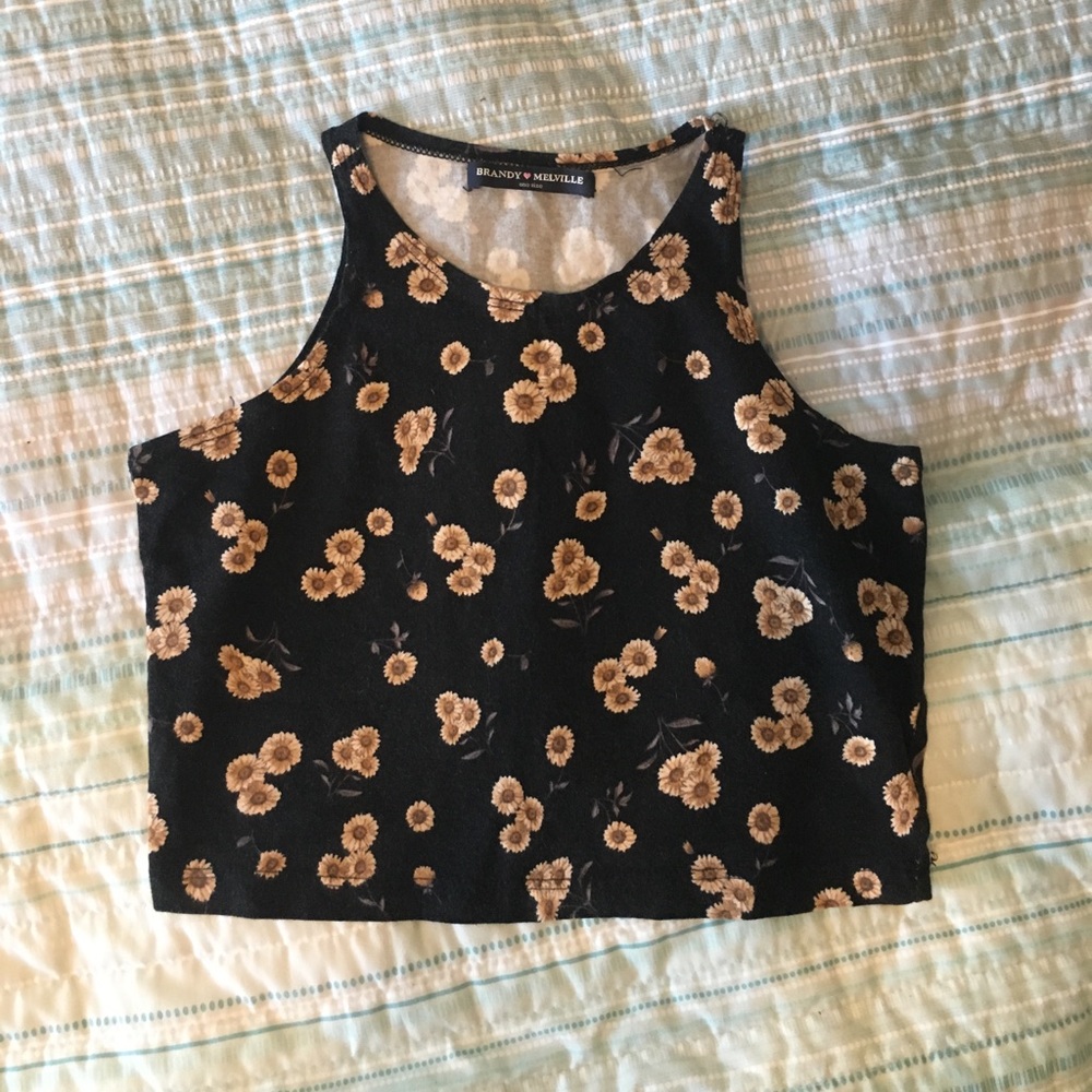 RARE brandy Melville crop top