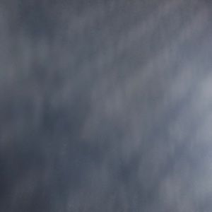 Meet your Posher, Carynne