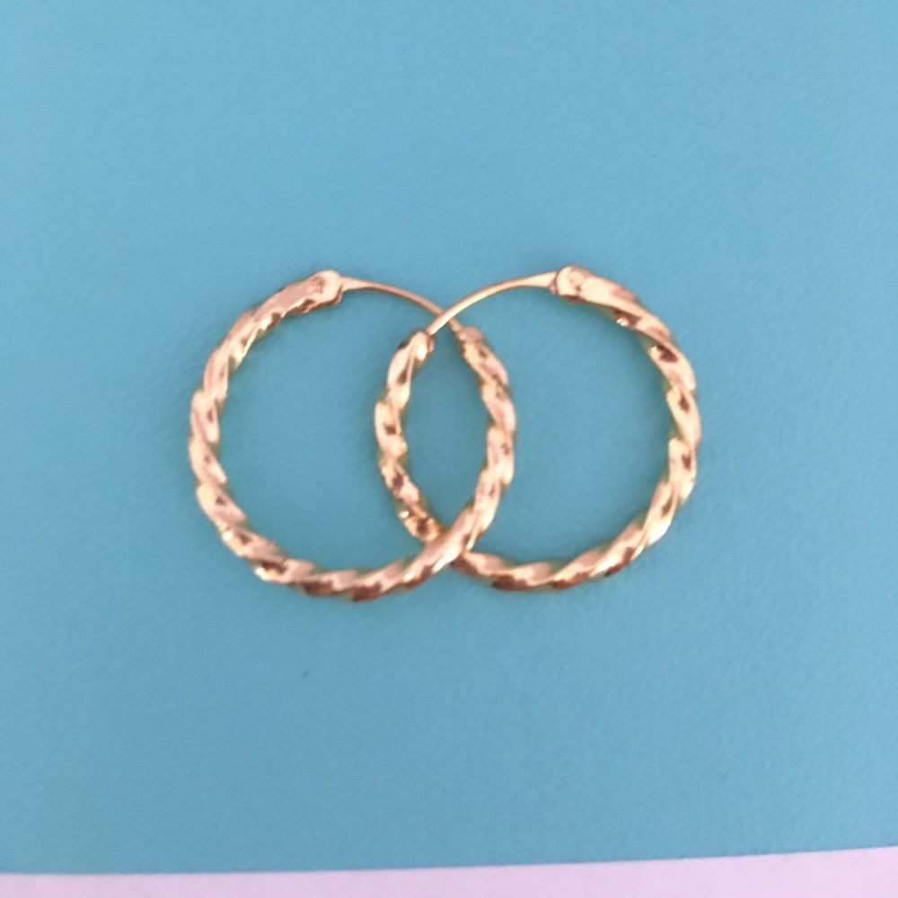 Small gold hoop earrings