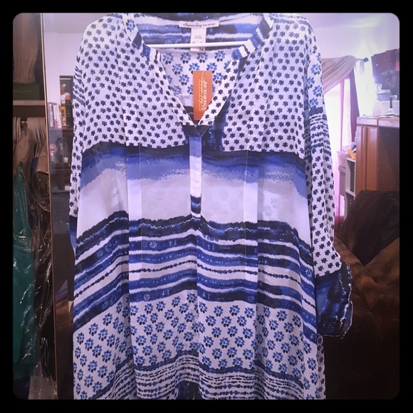 American Ragcie - Picture 1 of 2