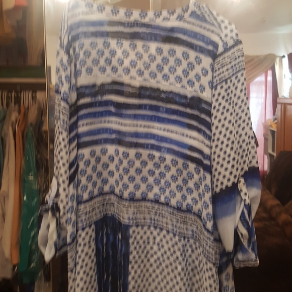 American Ragcie - Picture 2 of 2