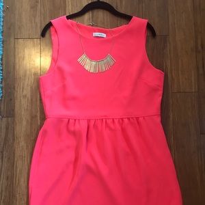 J crew knee length dress