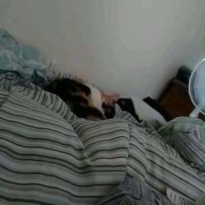 Meet your Posher, Michele