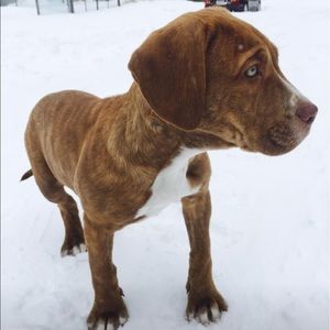 Meet your Posher, Hasan