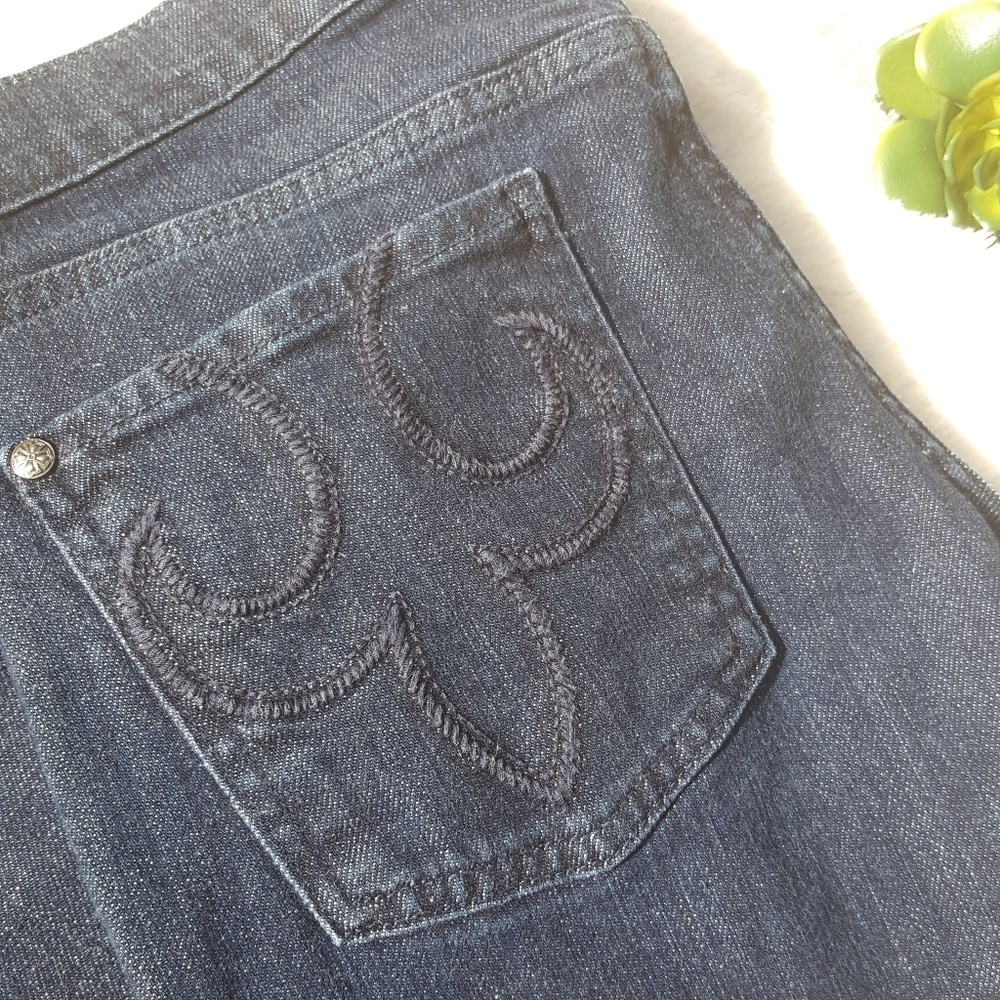 Deluxe Premium Denim DPD Jeans from Express 28