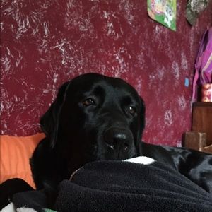 Meet your Posher, Kailie