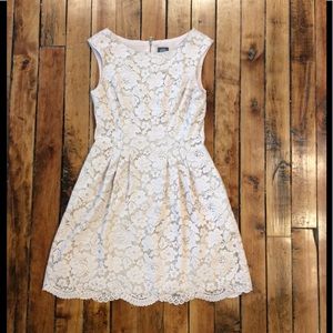 Vince Camuto Lace A-line dress in Blush, Size 6
