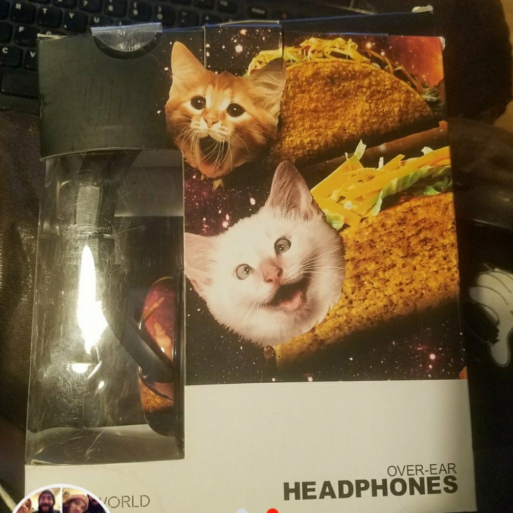 Taco cat headphones