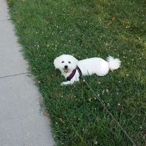 Meet your Posher, Annemarie