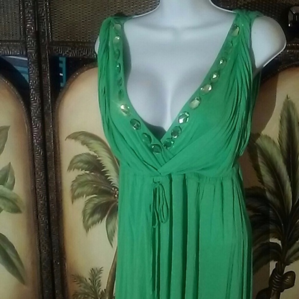 Gorgeous sleek dress w/gems (L)