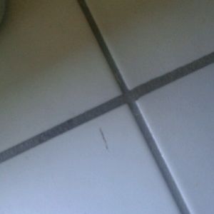 Meet your Posher, Kameron