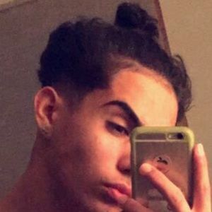 Meet your Posher, Novian