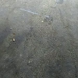 Meet your Posher, Victor