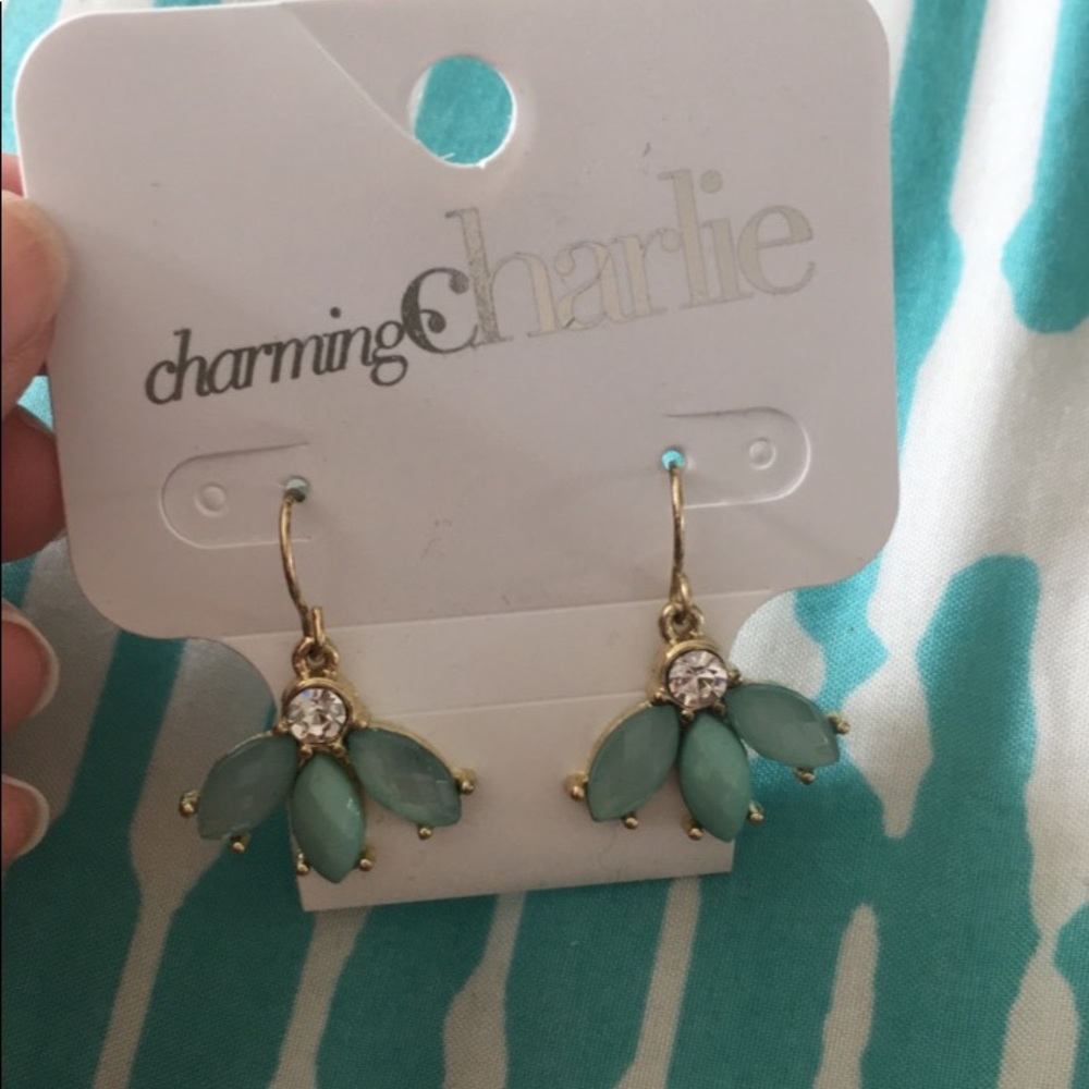 Charming Charlie Aqua Earrings