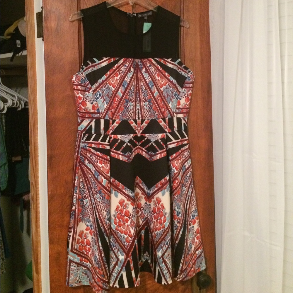 Brand New Brixon Ivy Dress