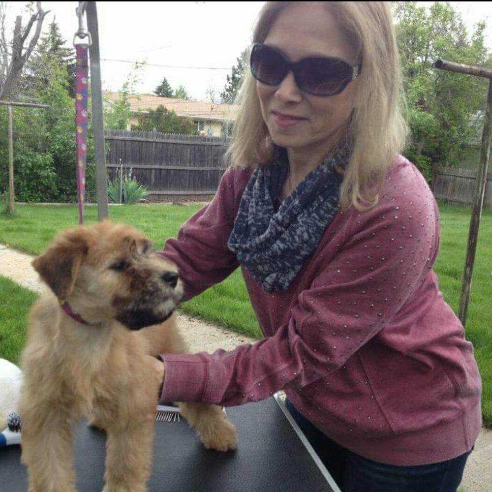 Meet your Posher, Shirley