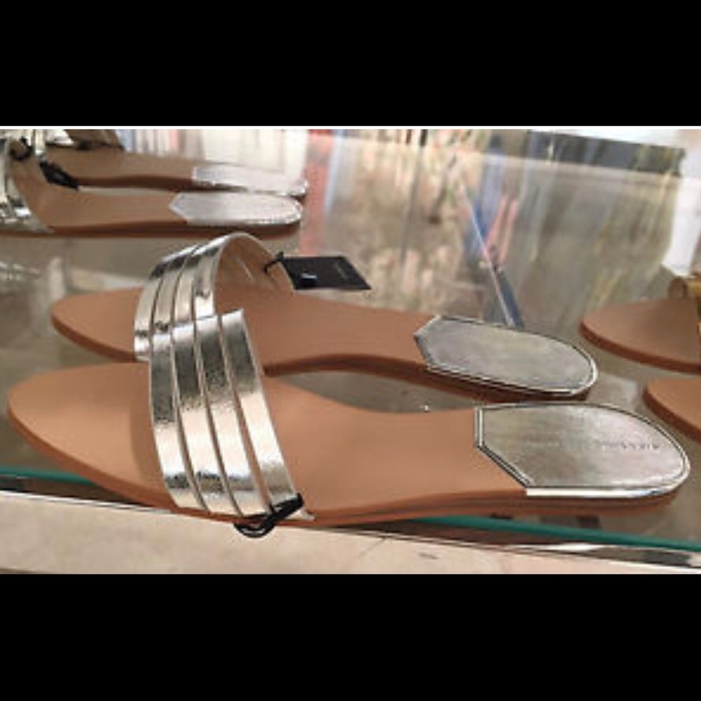 ISO Zara slides in both silver and gold size 8.