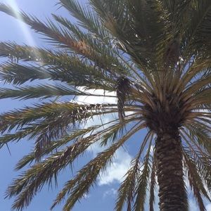 Meet your Posher, Caitlin