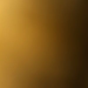 Meet your Posher, Reza