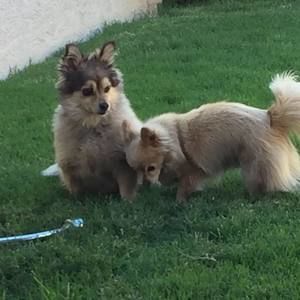 Meet your Posher, Deborah