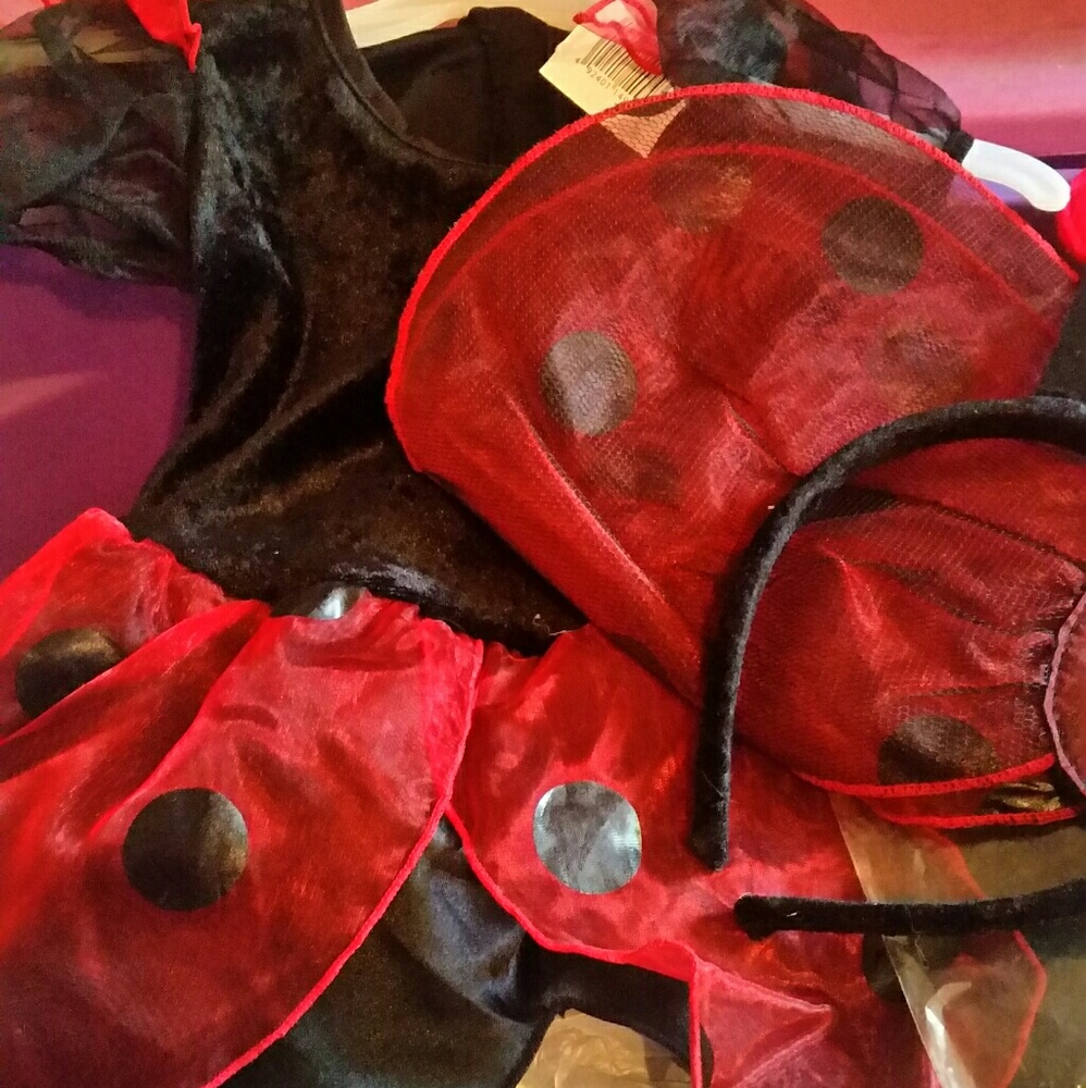 Ladybug costume