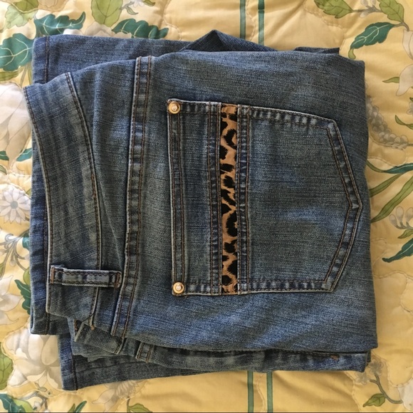 DISCONTINUED Cachè Jeans - Picture 6 of 6
