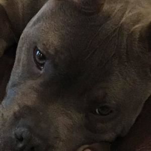 Meet your Posher, Azat