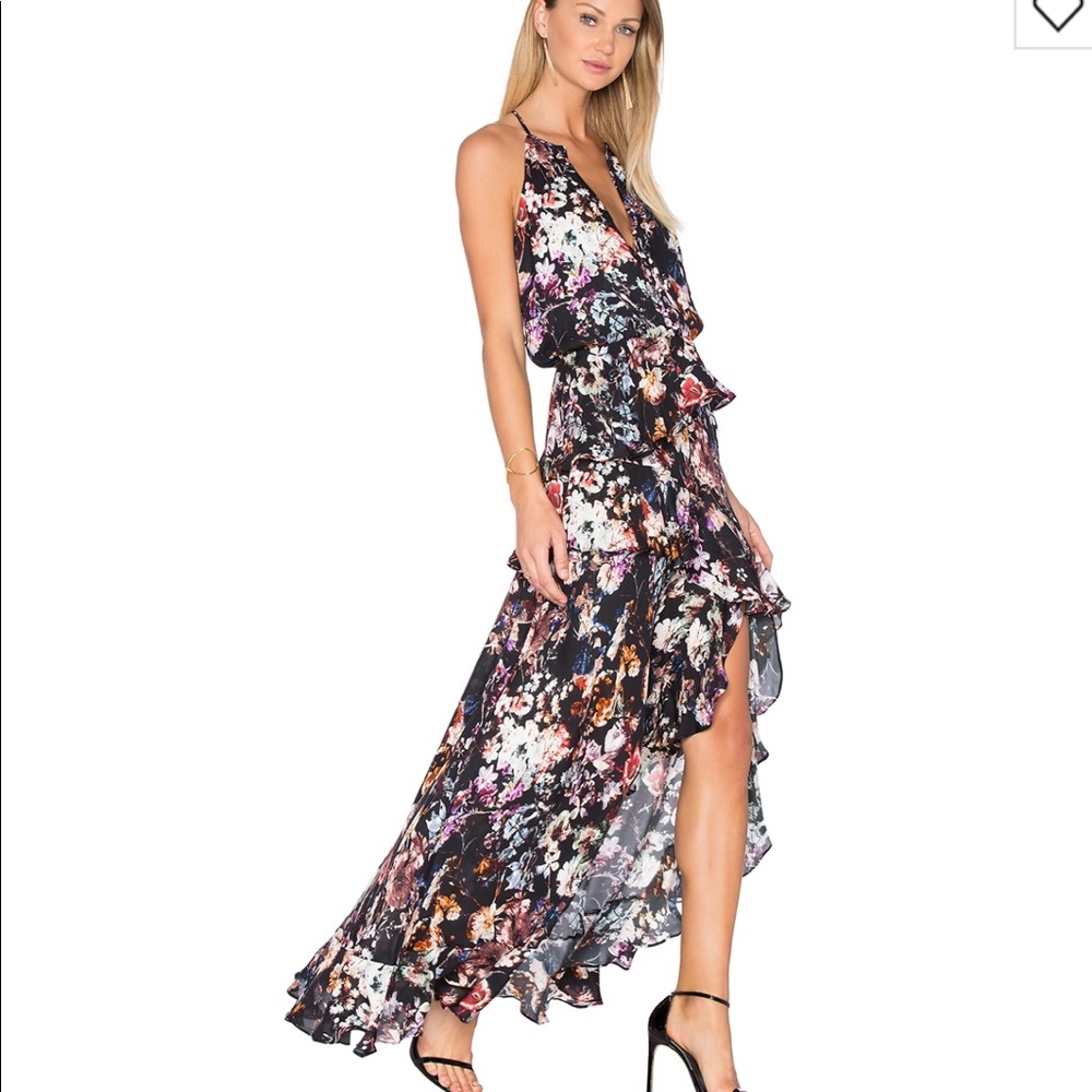 Parker Luciana Dress