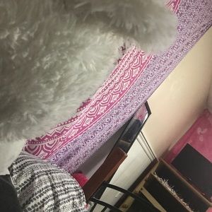 Meet your Posher, Cierra