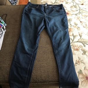 Torrid Skinny Jeans