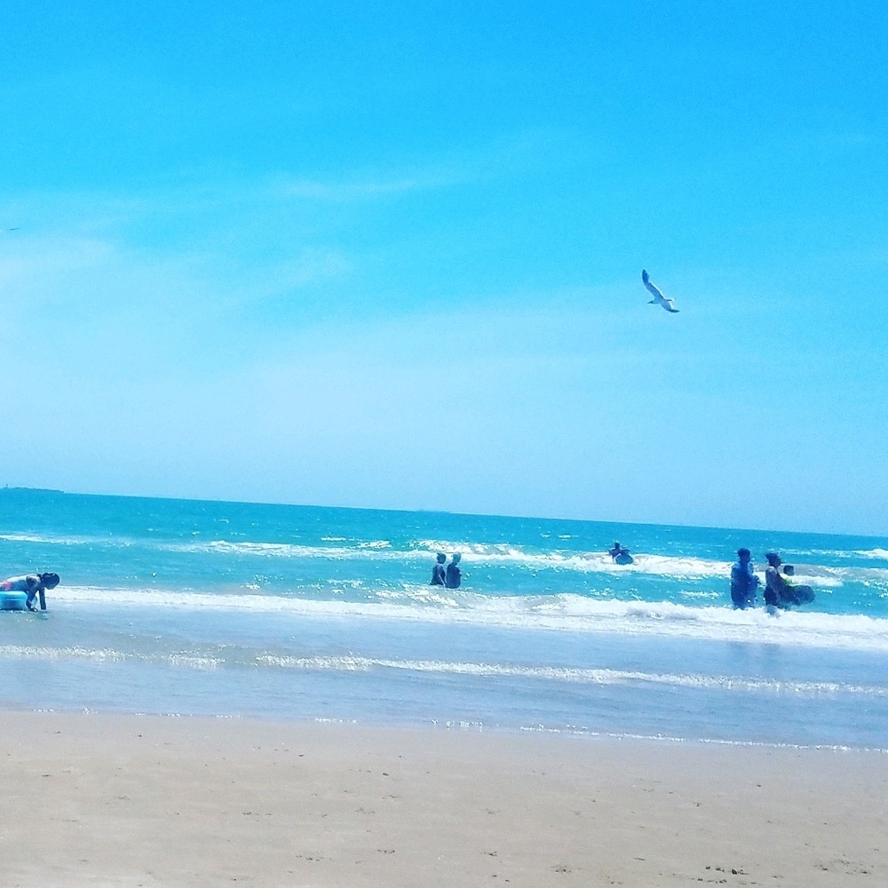 Meet your Posher, Nina