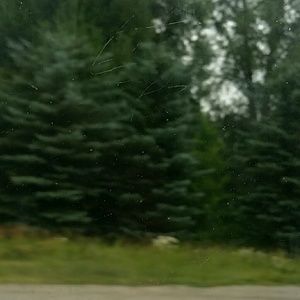 Meet your Posher, Cheyenne