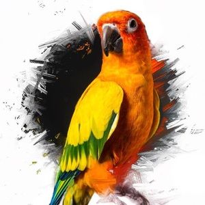 Meet your Posher, Melanie