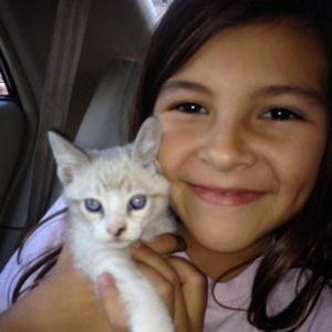 Meet your Posher, Sailor